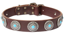 Leather dog collar with blue stones